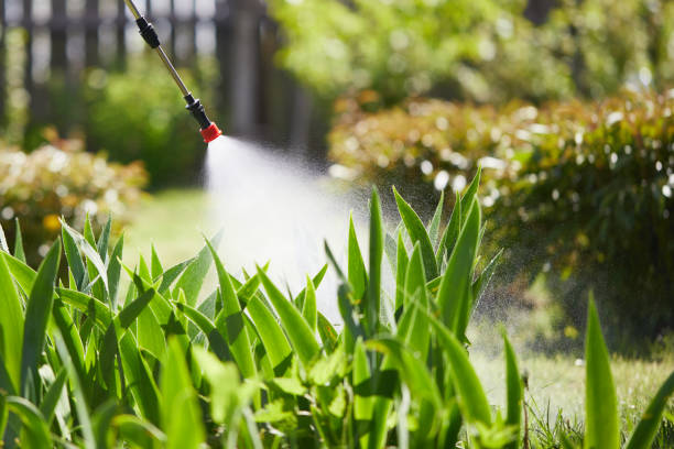 24/7 Emergency Fumigation Services experts in Greenville, FL