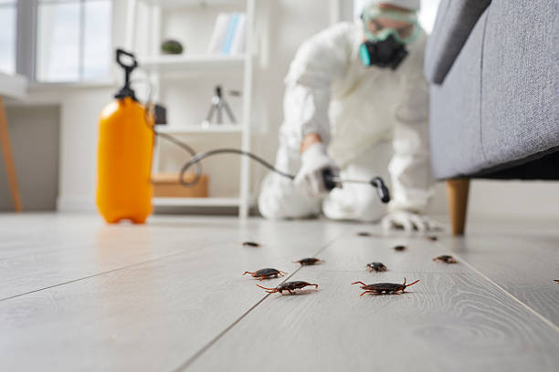 Trusted Fumigation Services service in Greenville, FL - Nex Pest Control