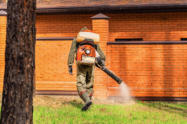 Trusted Cockroach Control service in Greenville, FL - Nex Pest Control